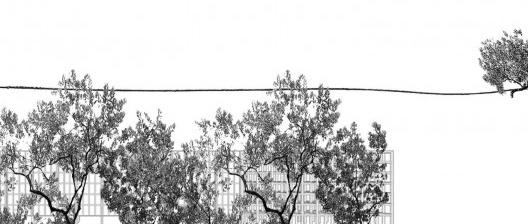 Brasília retomada pelo Cerrado