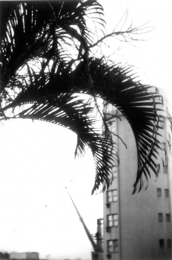 Hotel Estoril