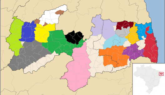 Mapa de Regiões Metropolitanas em projeto no estado da Paraíba (marrom, preto, rosa, amarelo, cinza claro e branco)