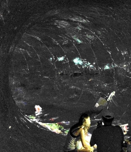 Toro ao anoitecer e projeção de imagens