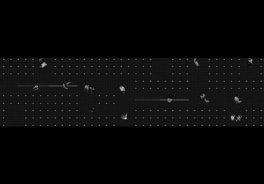 O muro camuflado, autoria de Aline de Camargo Barros