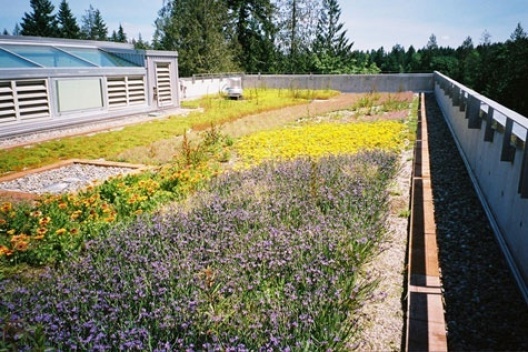 Instituto Evergreen State, Olympia (Washington), Mahlum Architects