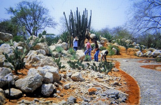 Crassuletum: atividades de plantio das coleções