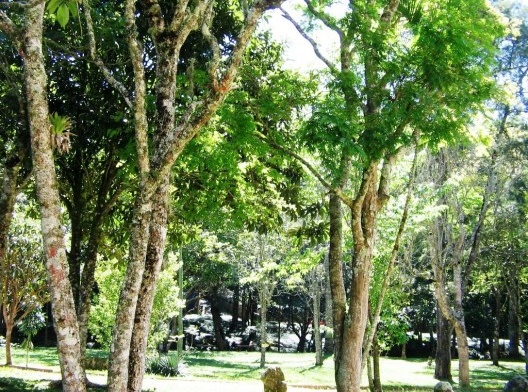 Ginásio Nova Friburgo: bosque e jardins