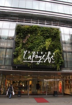 “Painéis verdes” de Patrick Blanc na loja de departamentos Galeries Lafayette em Berlin (2009)