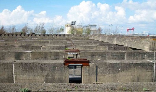 Vista ao norte do topo da base, ao fundo vê-se o Bosque dos Choupos, com os arbustos caducifólias já sem folhagem