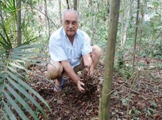 A Serapilheira. Um colchão de restos vegetais no chão das florestas e bosques florestados. Enriquece e torna o solo mais fofo e permeável. Ela própria absorve grande parte das águas de chuva