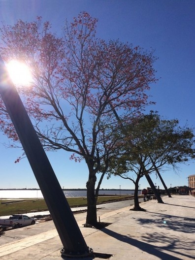 Passeio que acompanha o traçado da Av. Edvaldo Pereira Paiva
