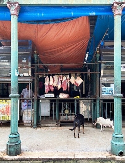Mercado de Carnes Francisco Bolonha, Belém PA