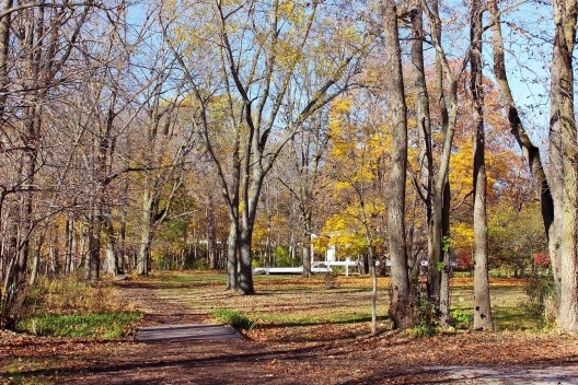 Vista de aproximação à Farnsworth House