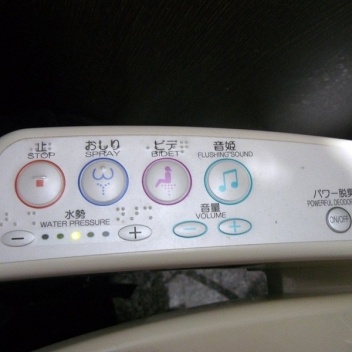 Vaso sanitário com serviço completo