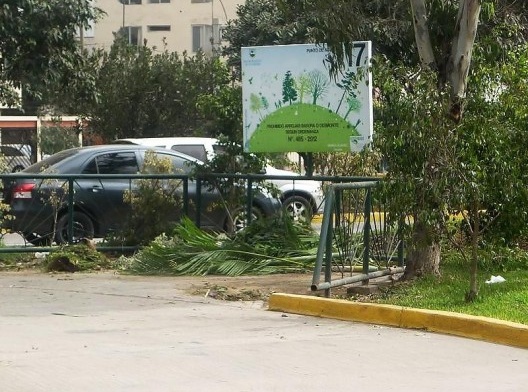 Pontos de Entrega Voluntária de Podas