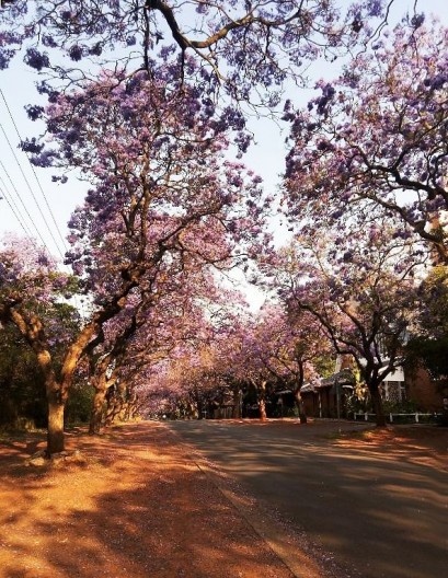 Rua residencial de Pretoria