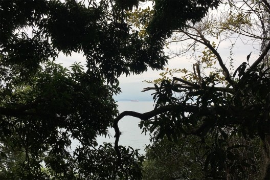 Vista de Ilha Grande