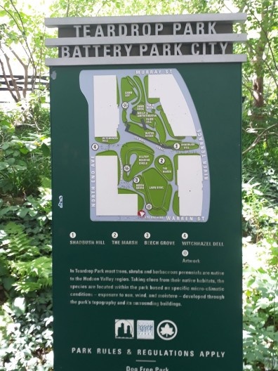 Teardrop Park, área aberta gramada, Nova York, 2018