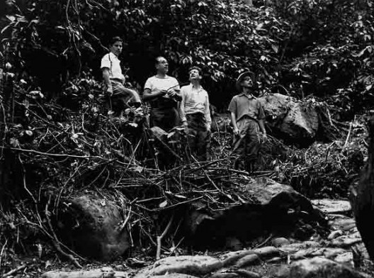 Severo Gomes, Rino Levi, Burle Marx e Procópio Ferreira de Camargo, excursão a Serra de Parati MG, 1952