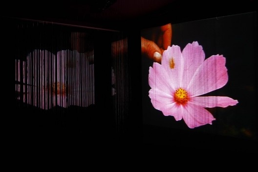 Marinella Pirelli, Instalação Projeção sobre fios, 2007