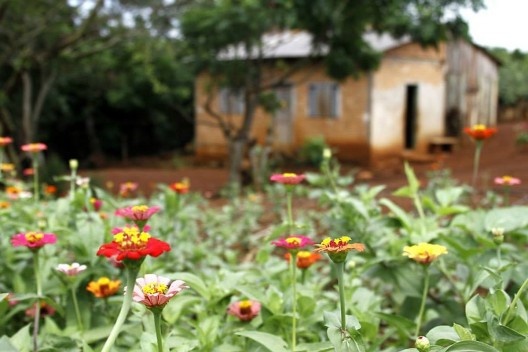 Quilombo Apepu, 2013