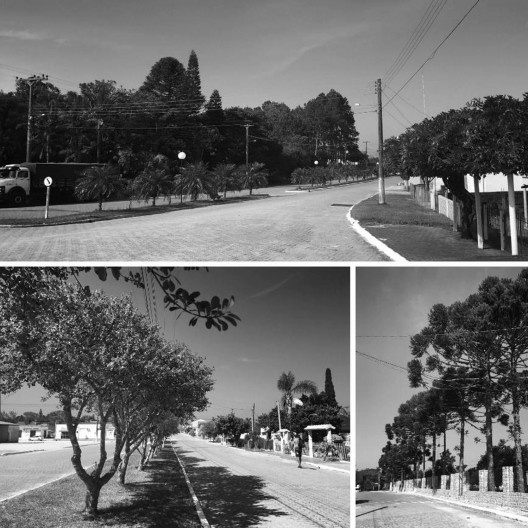 Coletânea 4: alamedas