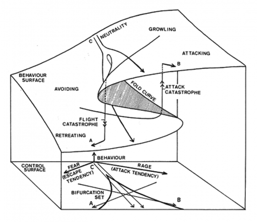 René Thom, Diagrama da Teoria da Catástrofe, 1972
