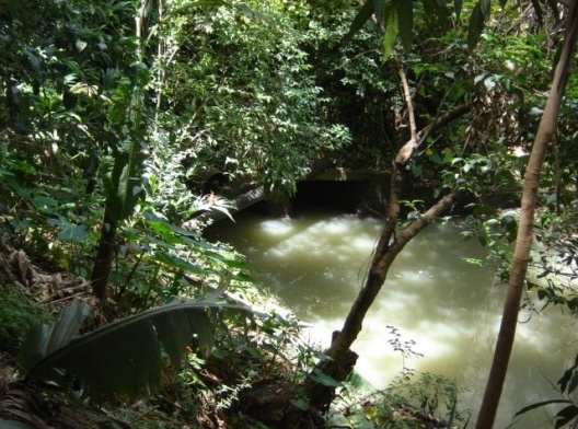 Córrego do Sapateiro aflorando dentro do Parque Ibirapuera