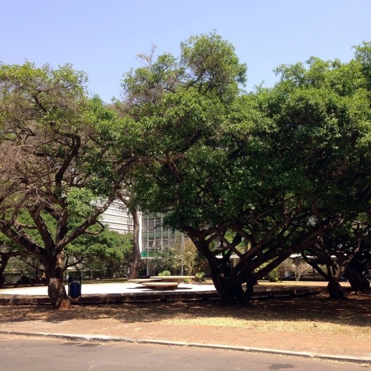 Paisagismo da 308 Sul. Paisagista Roberto Burle Marx