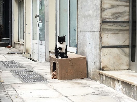 Cena urbana, Atenas, Grécia