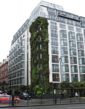 Jardim vertical em Londres: fachadas de um hotel após a sua renovação, projeto de Patrick Blanc de 2009