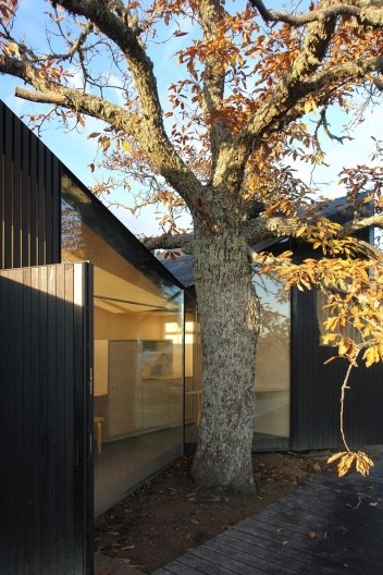 Casa no Castanheiro, 2019, Valeflor. Projeto de João Mendes Ribeiro