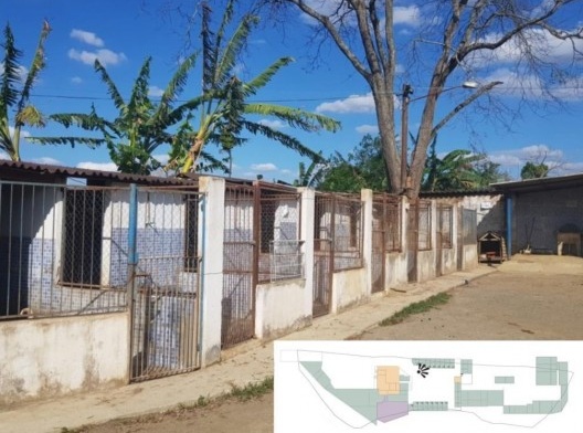 Sociedade Juizforense de Proteção Animal, canis, Juiz de Fora MG