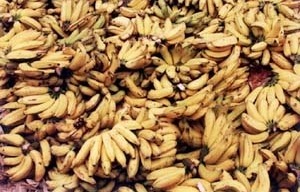 Achados tempos perdidos. Feira da Prata em Campina Grande, Paraíba
