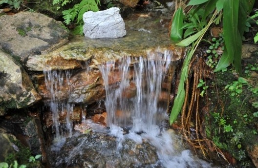 As nascentes no código florestal