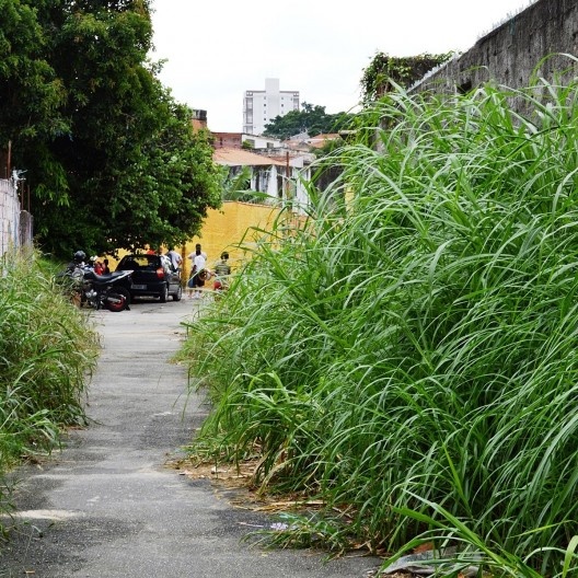 Córrego oculto, o mato cresce às touceiras próximo à Rua dos Timoneiros; pipas colorem no céu o percurso do córrego oculto