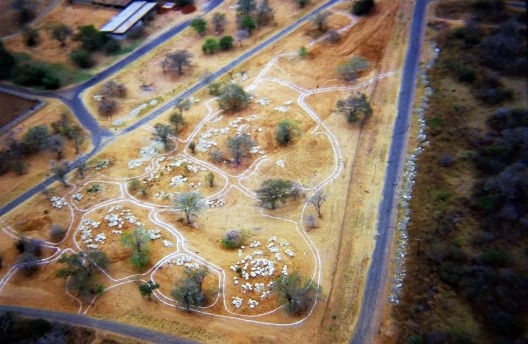 Crassuletum: morrotes, marcação dos caminhos e pedras