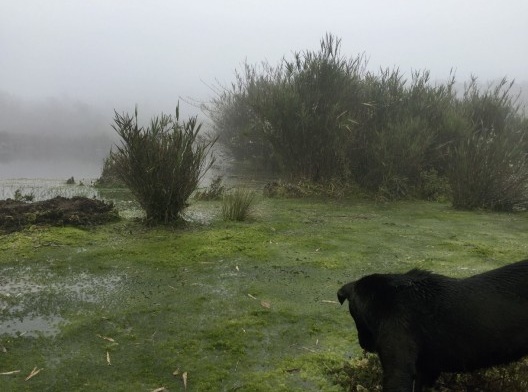 Parque Nacional Chingaza, Bogotá