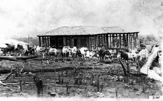 Construção da sede da fazenda Alto do Bonfim (1929) – Pedro da Costa Lima