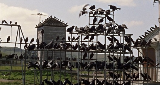 Fotograma do filme Os pássaros, de Alfred Hitchcock, 1963