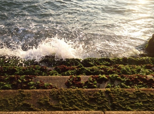 Água e pedra em Veneza, ensaio fotográfico