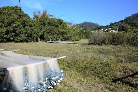 Brejo secando; brevemente a vegetação do fundo ocupará toda a área
