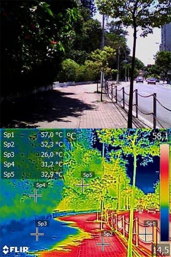 Rua São Caetano, altura do número 537. Bairro da Luz, dia ensolarado, 09 jan. 2019, às 14h04min. Temperatura do ar na cidade 32 Cº