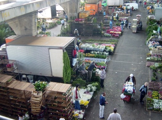 Vila Leopoldina e Ceagesp: urb”animosidades”