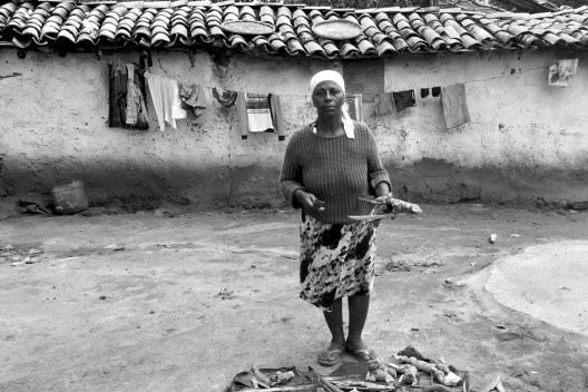 O saber do manejo da flora local é passado por geração, Dona Li, raizera da comunidade de Araçá, ensina os tratamentos à base de raízes e casas de arvore do Cerrado