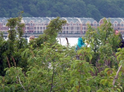 E antes que ela desapareça no meio da vegetação, o detetive novato descobre desesperado que ela não leva mais nas mãos a sacola misteriosa.