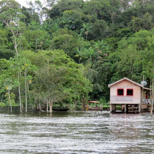 Margem do Rio Amazonas