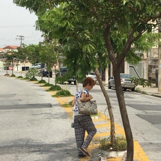 Rua Patrocínio Paulista, arborização no asfalto, Cidade Patriarca, São Paulo