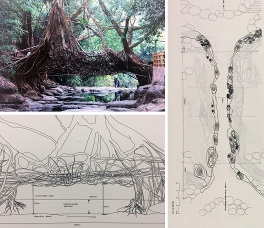 Pontes com raízes vivas de Meghalaya, de Wilfrid Middleton, Ferdinand Ludwig e Povos Khasi e Jaintia, Cátedra de Tecnologias Verdes em Paisagismo, Universidade Técnica de Munique