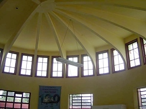 Detalhe das nervuras