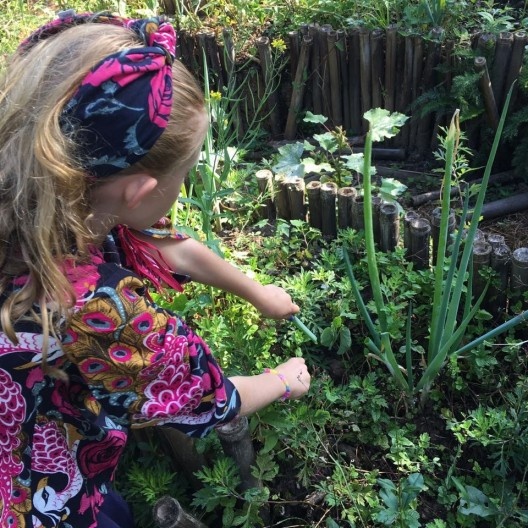 Antes da pandemia Covid-19, criança na Horta Educativa