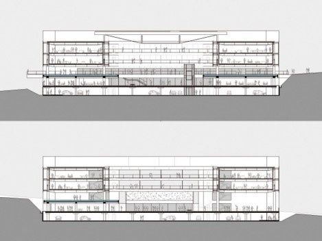 Corte transversal 1/2