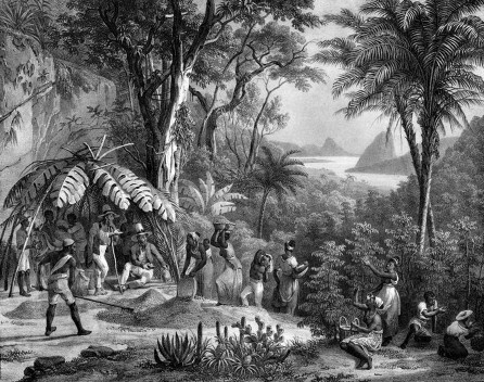 Rugendas, “Colheita do café”, 1835.